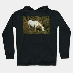 Wild Horse Hoodie